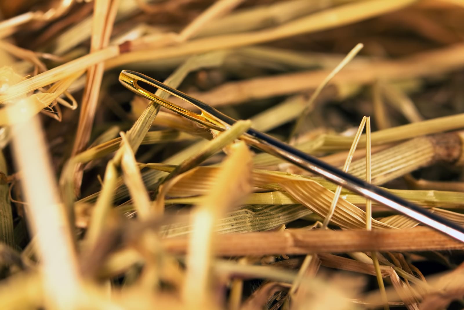 Find The Needles: Python Version